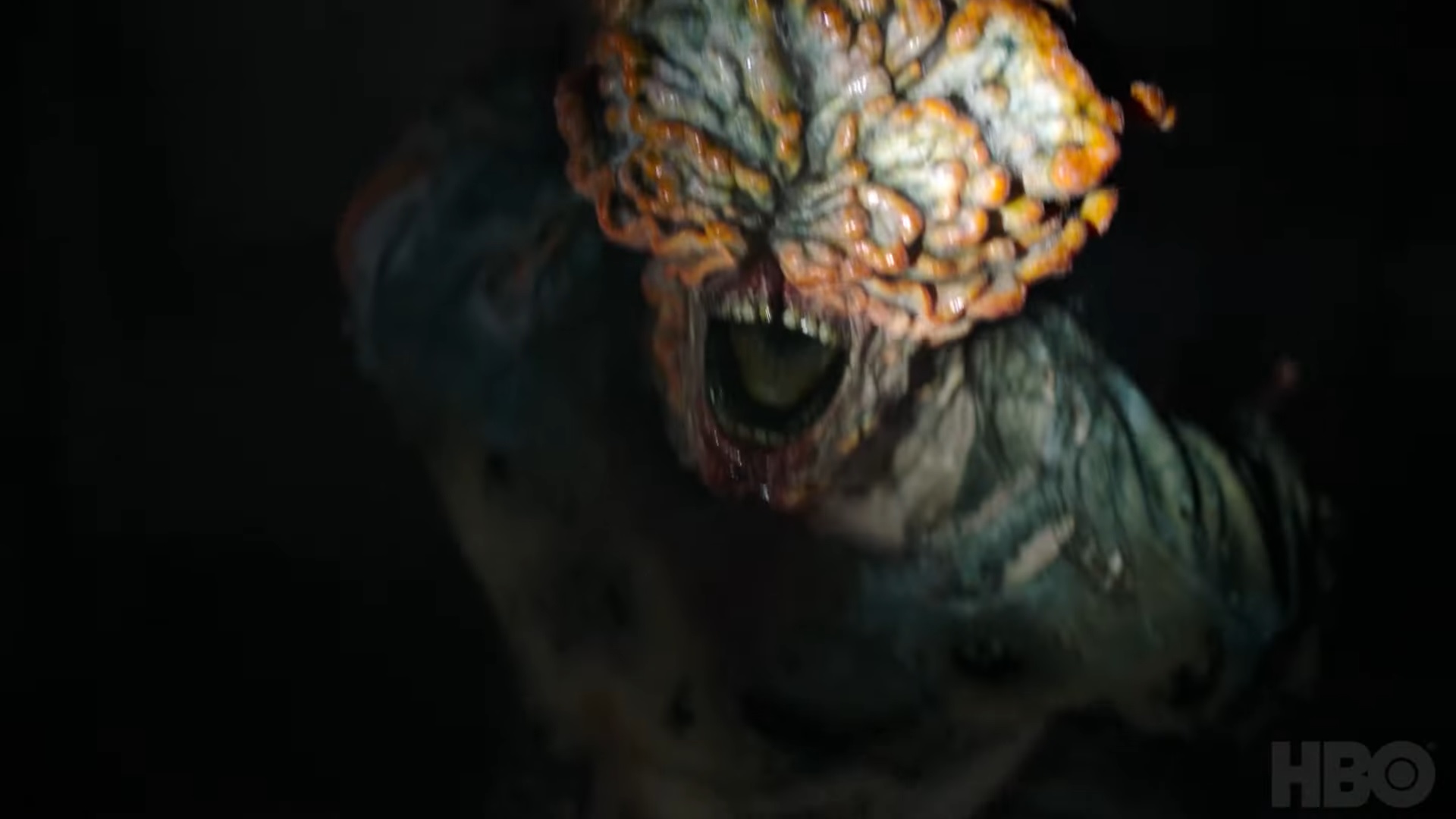 The Last of Us: La serie basada en el videojuego de Naughty Dog nos explica en su primer episodio lo peligroso que es el hongo Cordyceps
