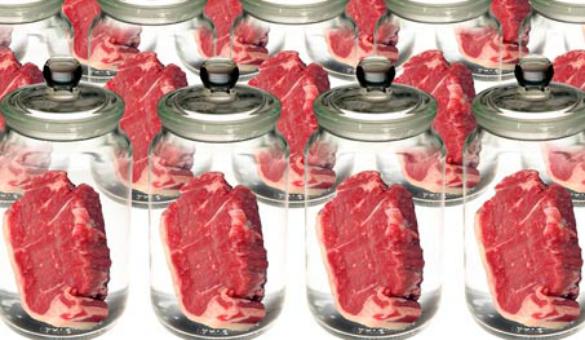 in vitro meat - Carne in vitro - carne sin vacas - culturageek.com.ar