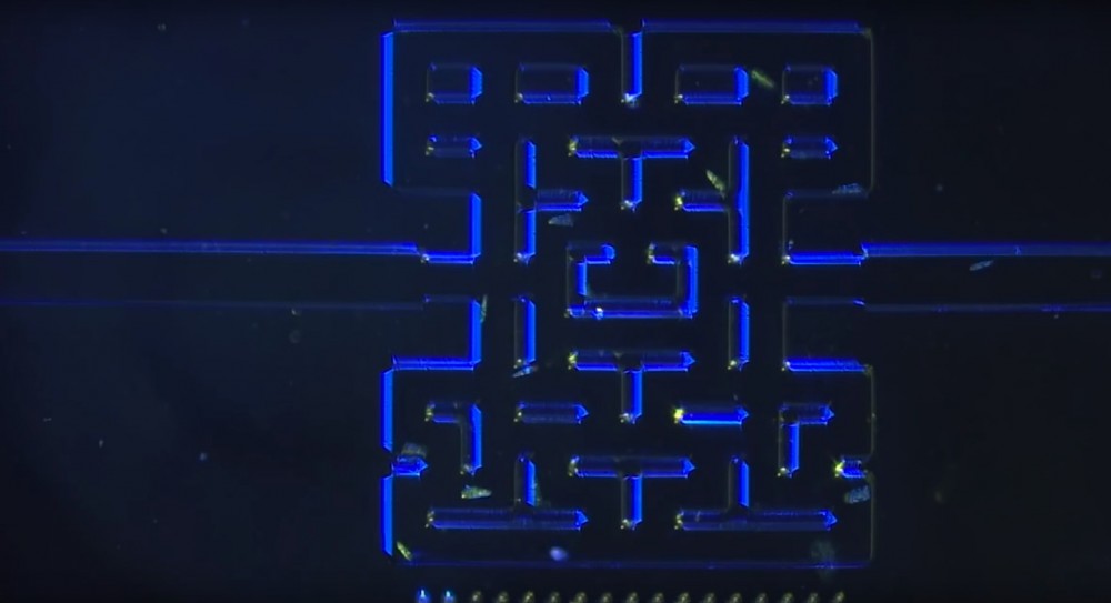 Pac-Man Unicelular-culturageek.com.ar