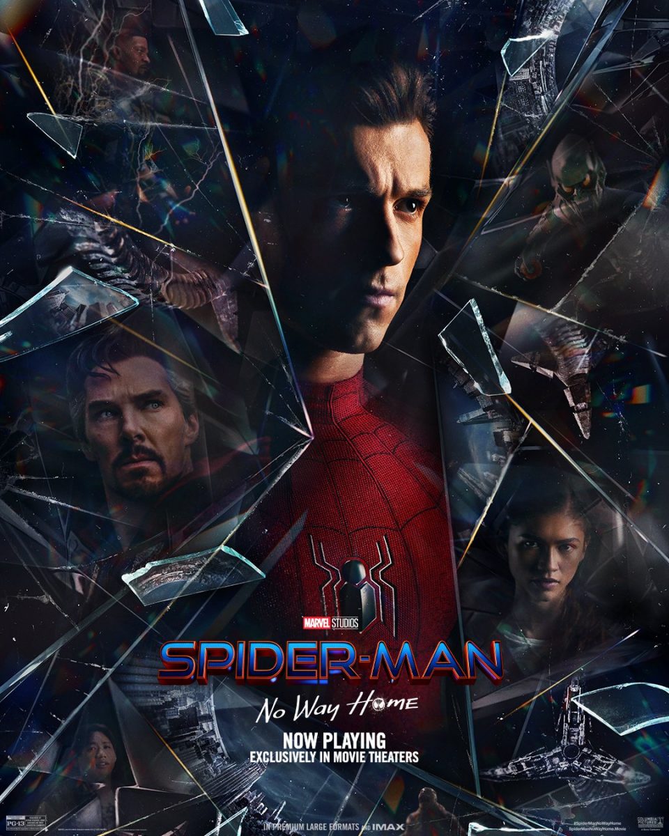 Spider-Man No Way Home póster