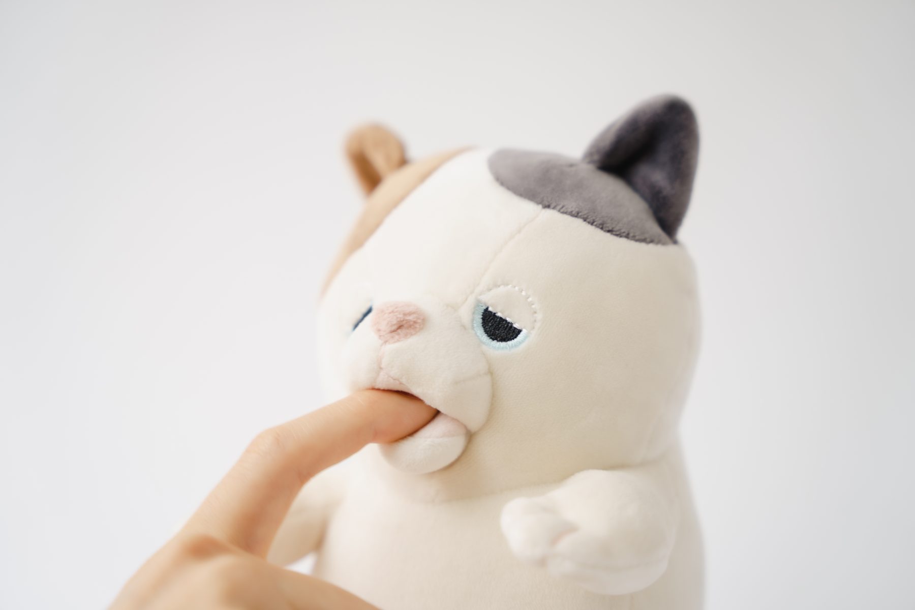 Amagami Ham Ham robot gatito