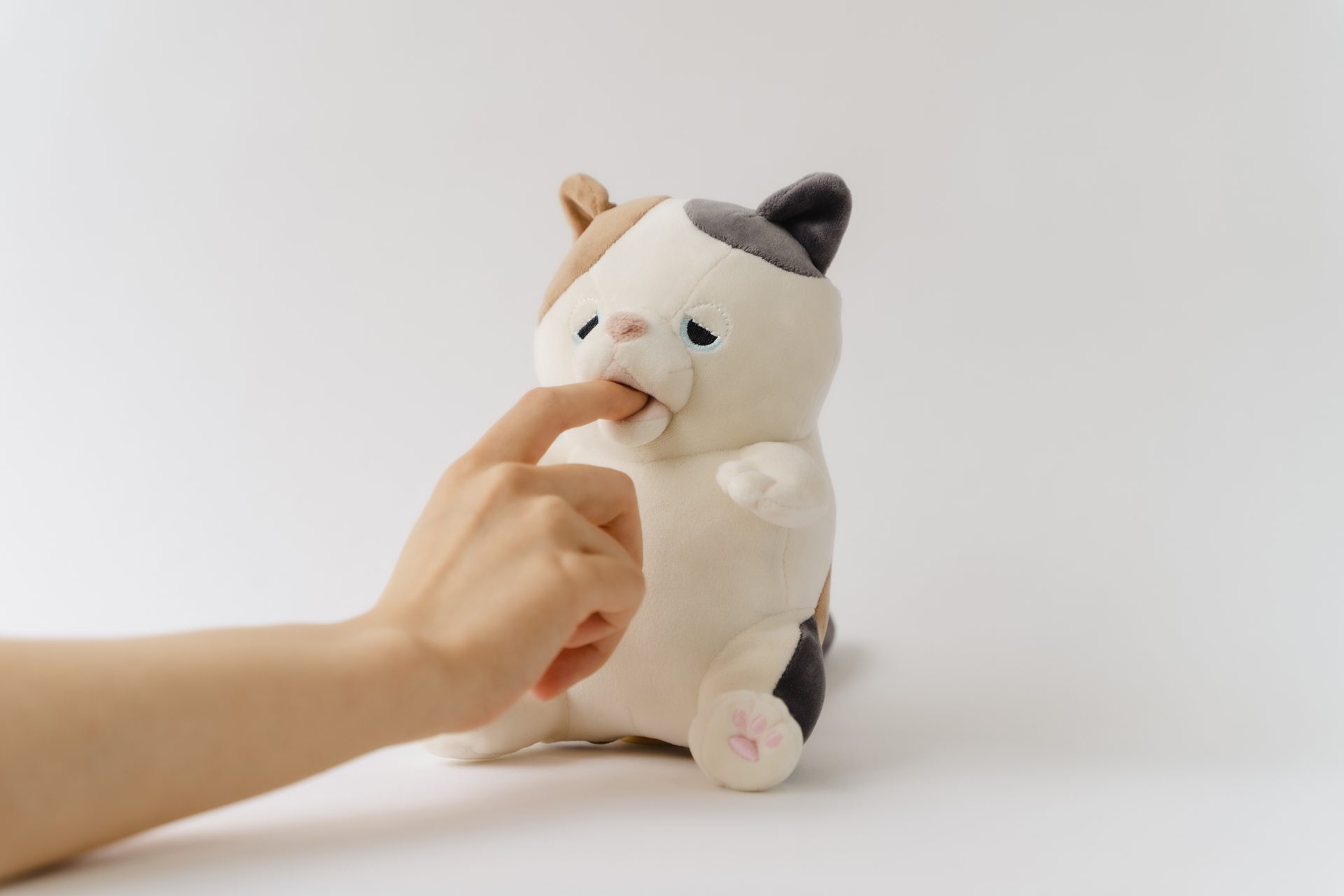 tablero Acera Iluminar CES 2022: el tierno y extraño robot con forma de gatito que te muerde el  dedo para calmar el estrés - Cultura Geek