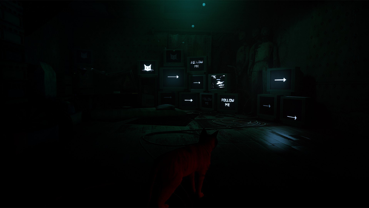 Review Stray: an emotional adventure of friendship and responsibility in the skin of a beautiful kitten