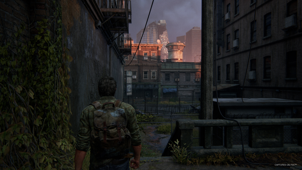 The Last of us