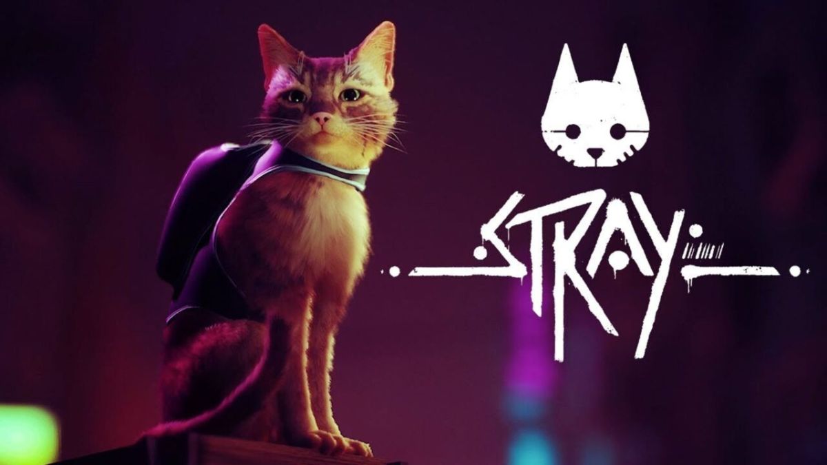 stray