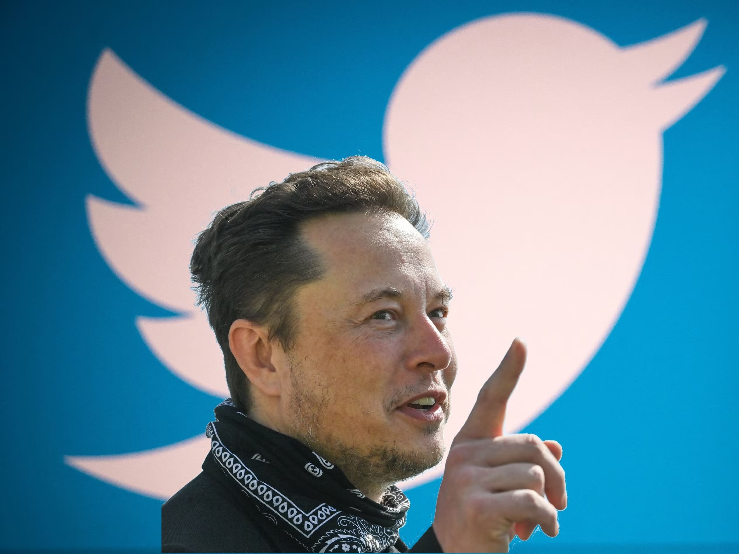Changes on Twitter for Elon Musk