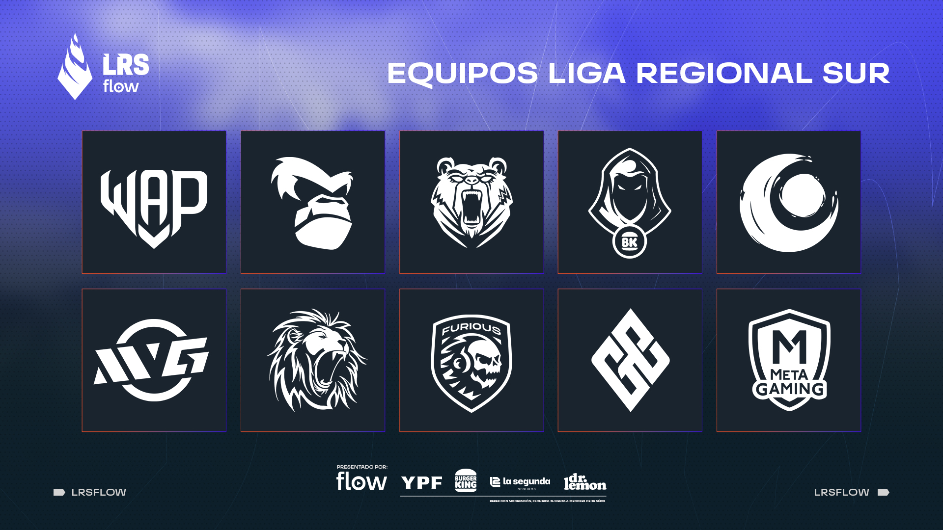 Liga Regional Sur