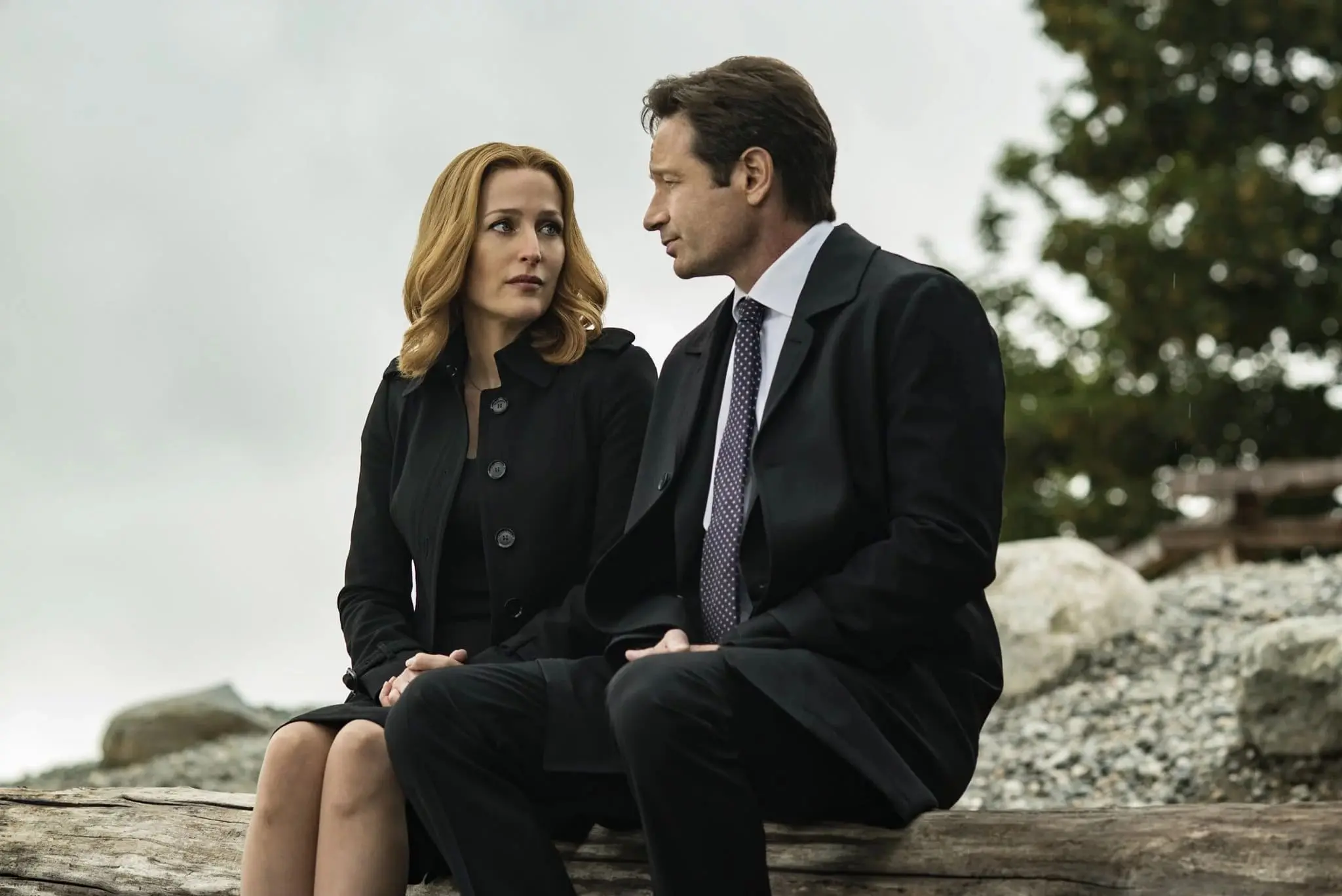 The X Files 