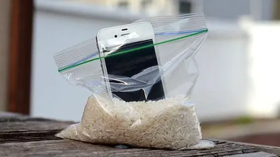 iPhone en arroz