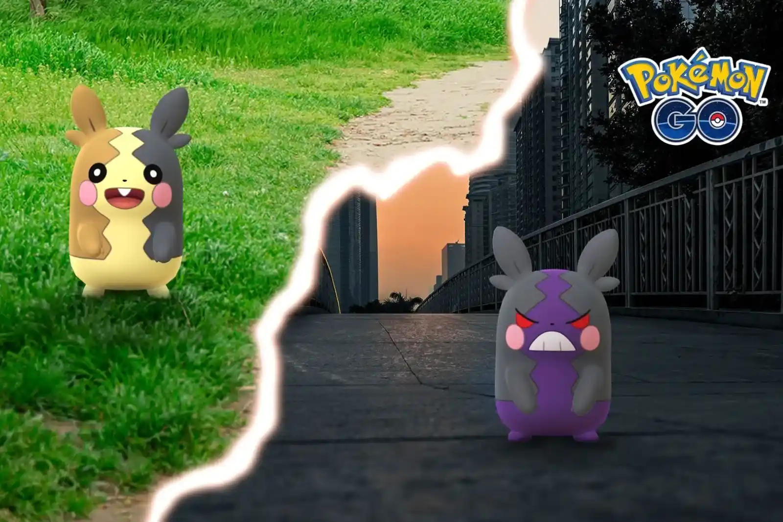 Morpeko Pokémon GO