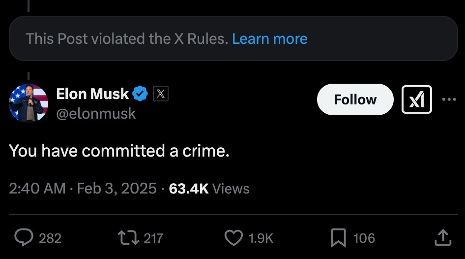 Elon Musk X - 