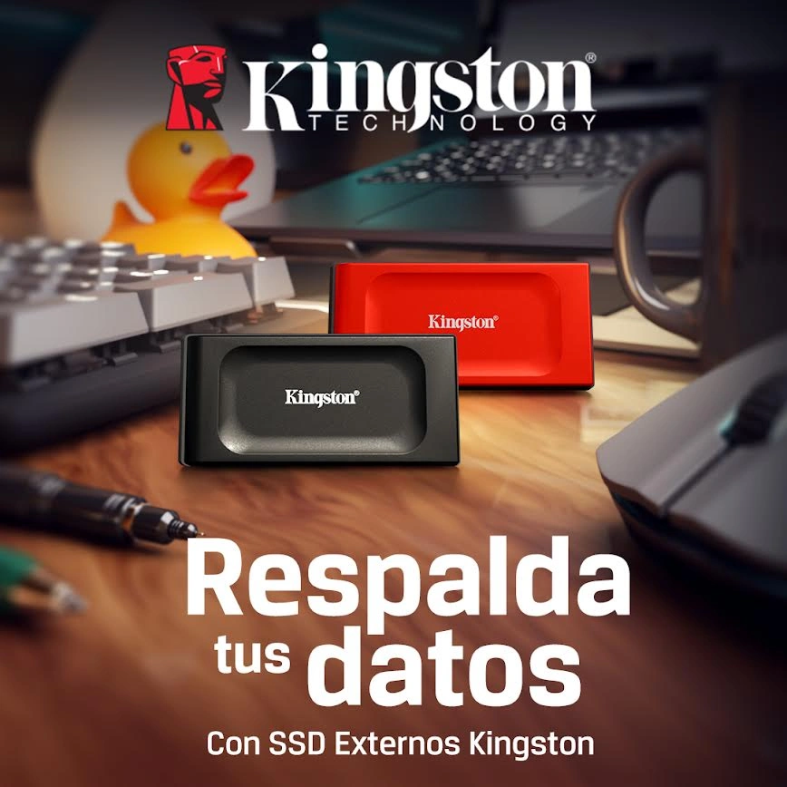 Kingston - Back Up