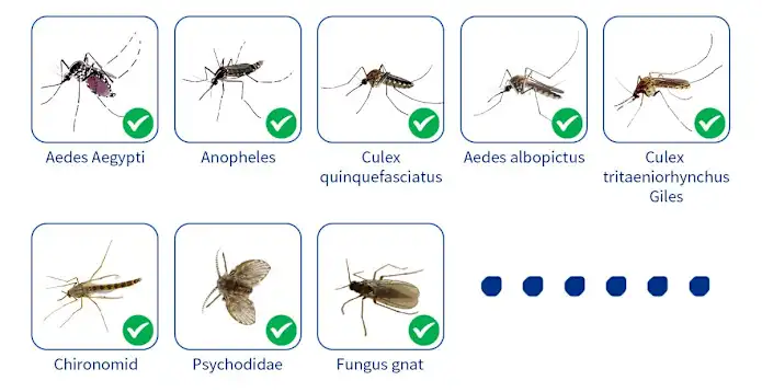Mosquito Air Defense