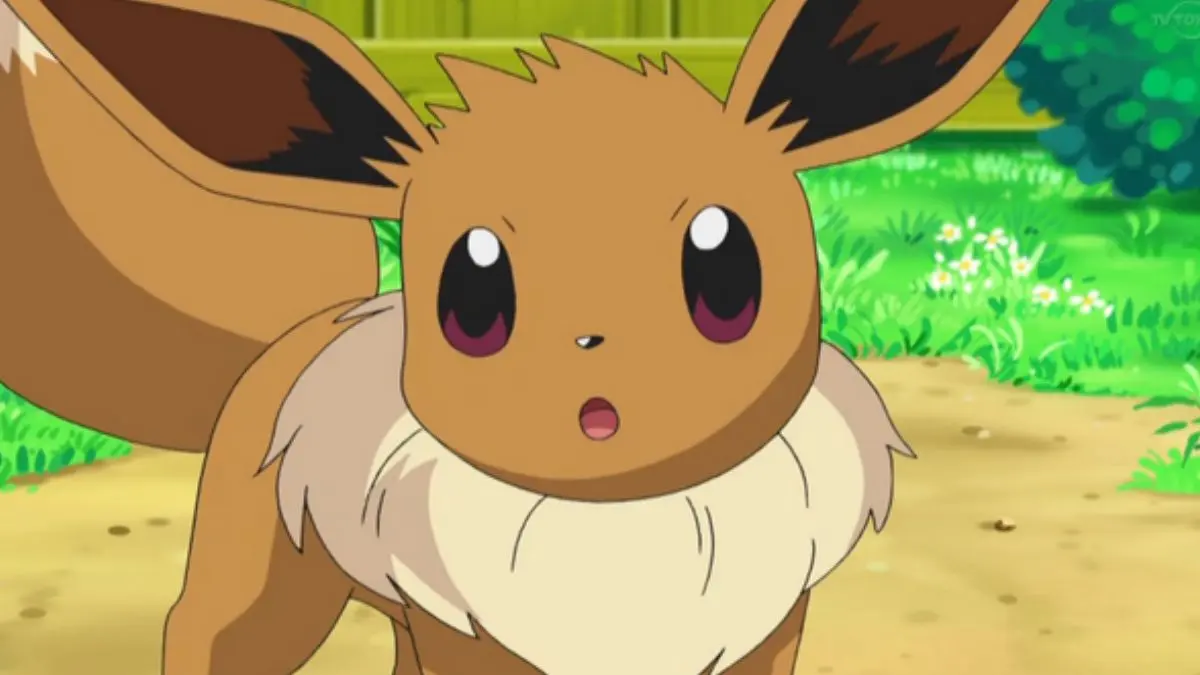 pokémon pocket