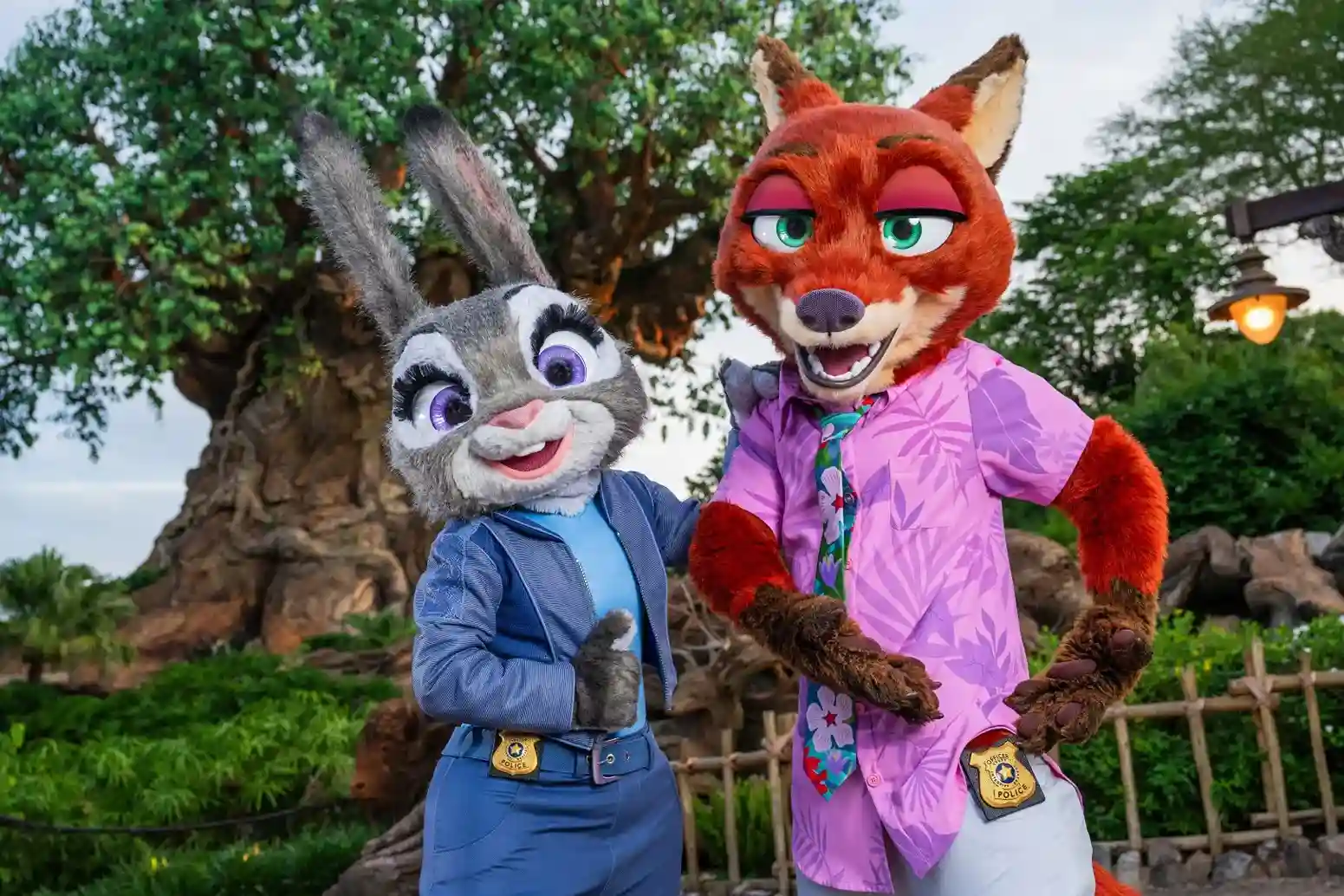 Disney Parques