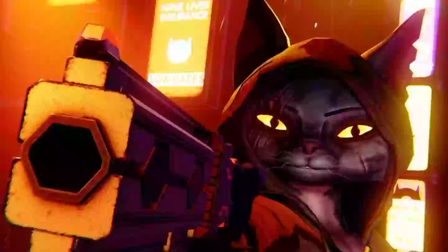 Cat Assassin