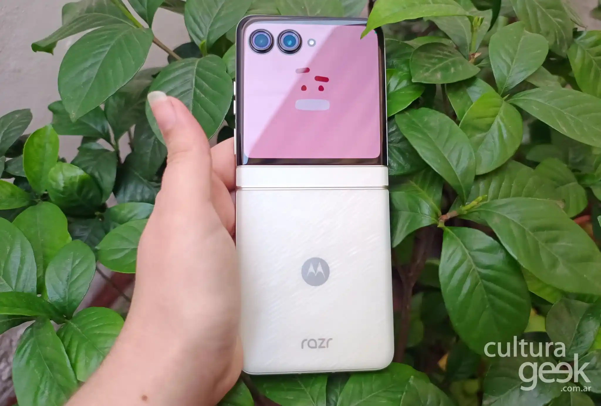 Razr 60