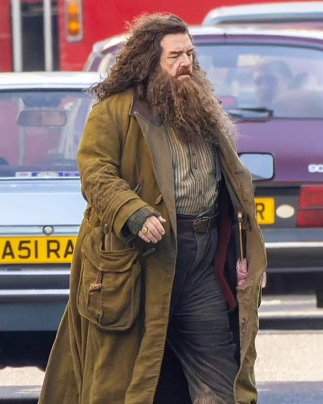 Harry potter dumbledore
