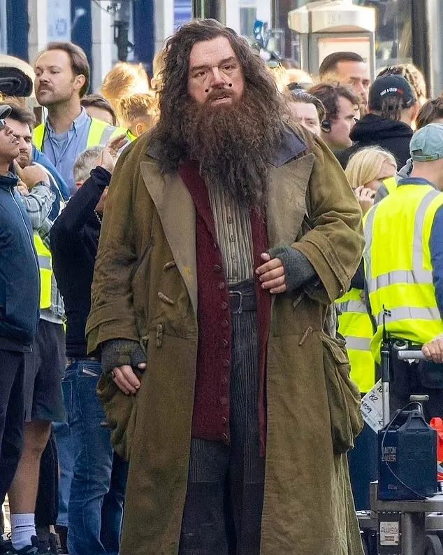 Harry potter dumbledore