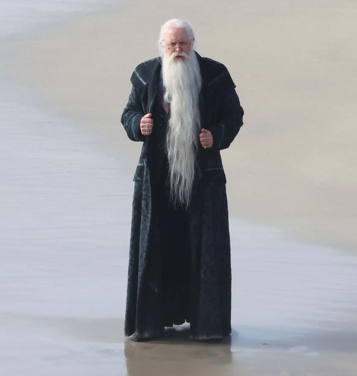 Harry potter dumbledore