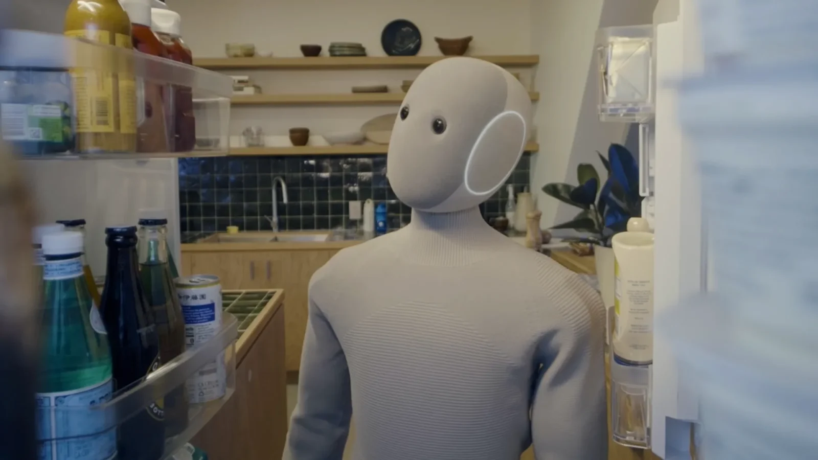NEO robot