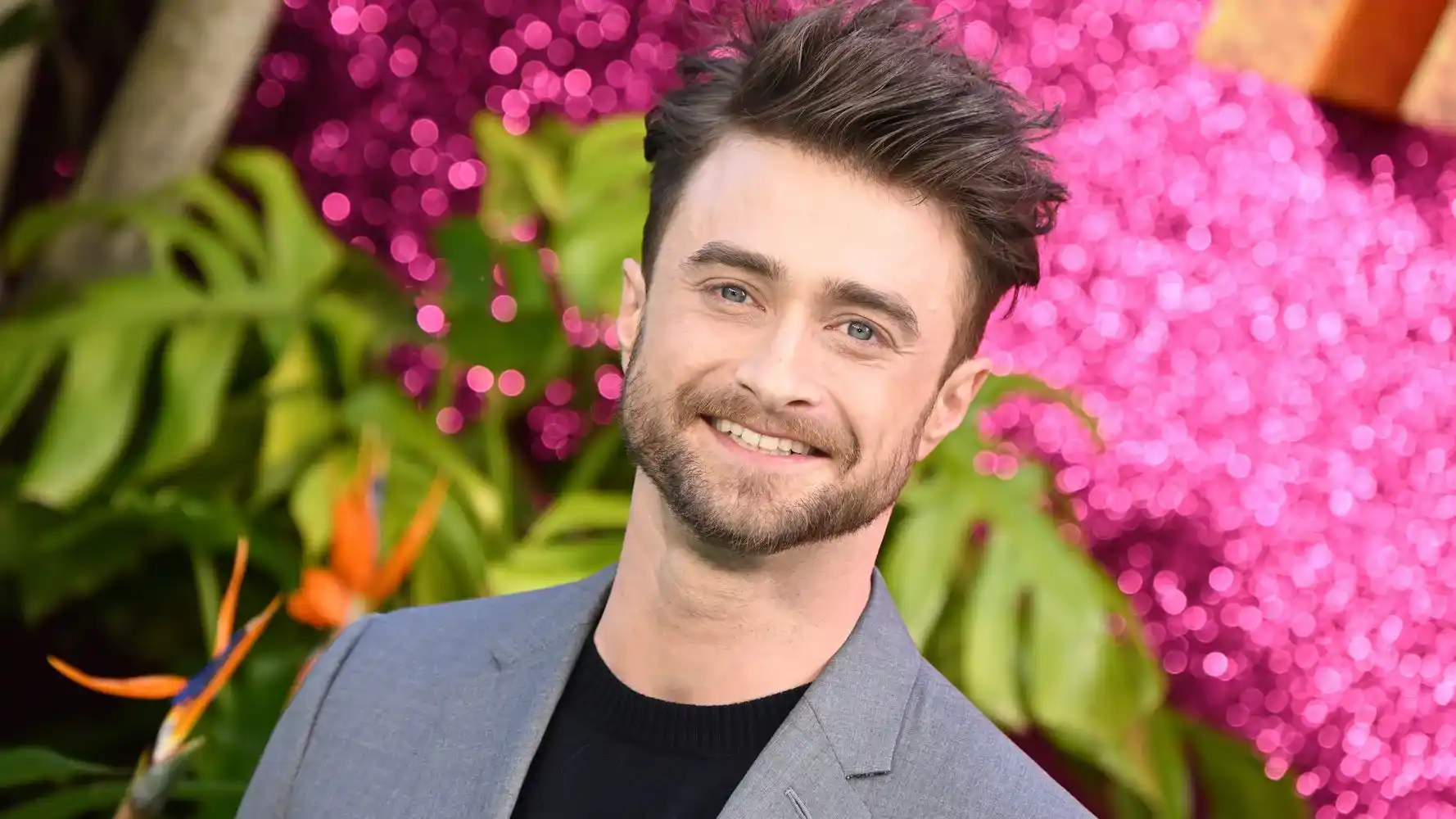 Daniel Radcliffe Harry Potter