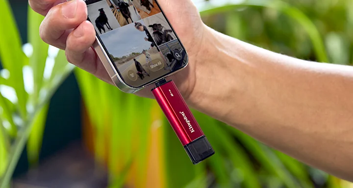Dual Portable SSD