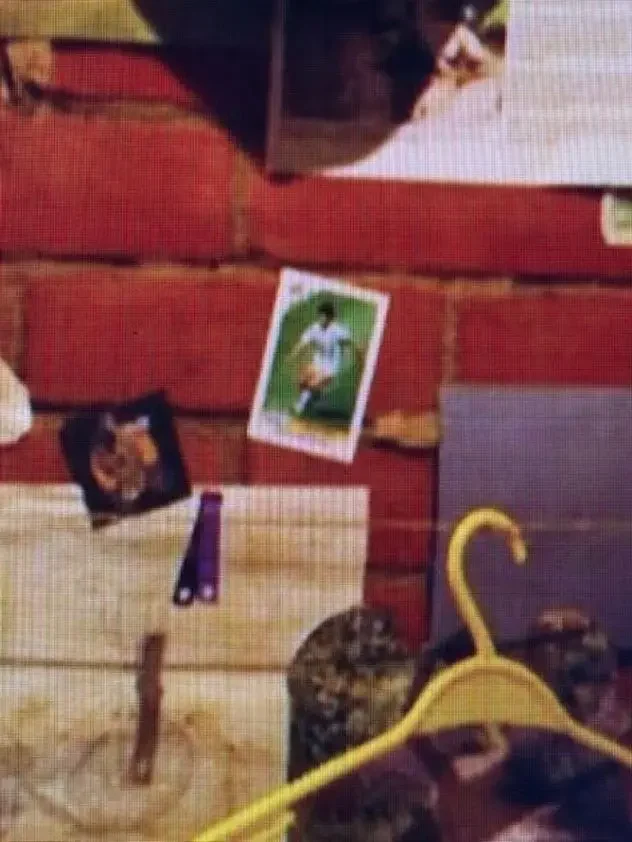 figurita de Maradona en Harry Potter