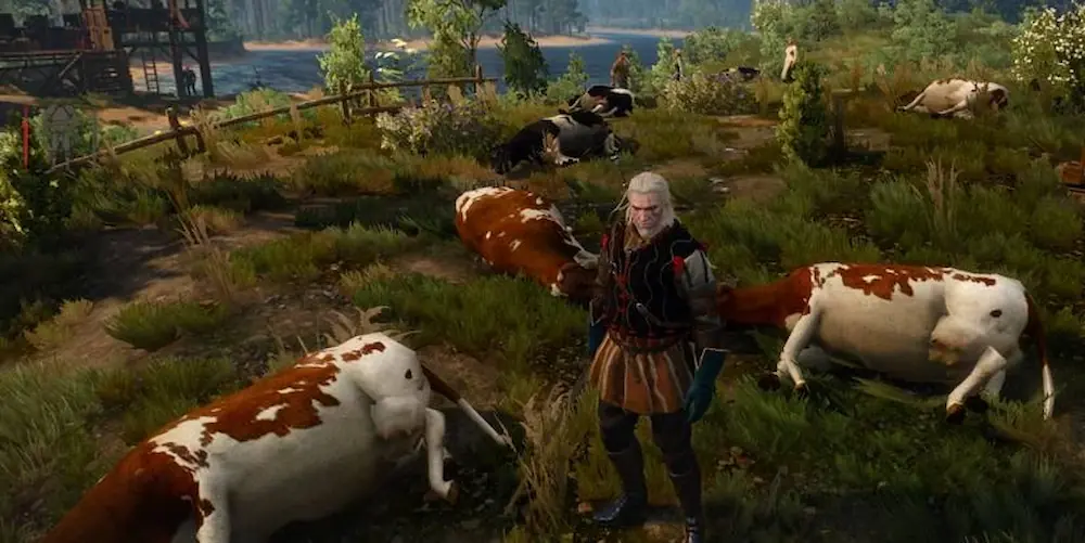 the witcher 3