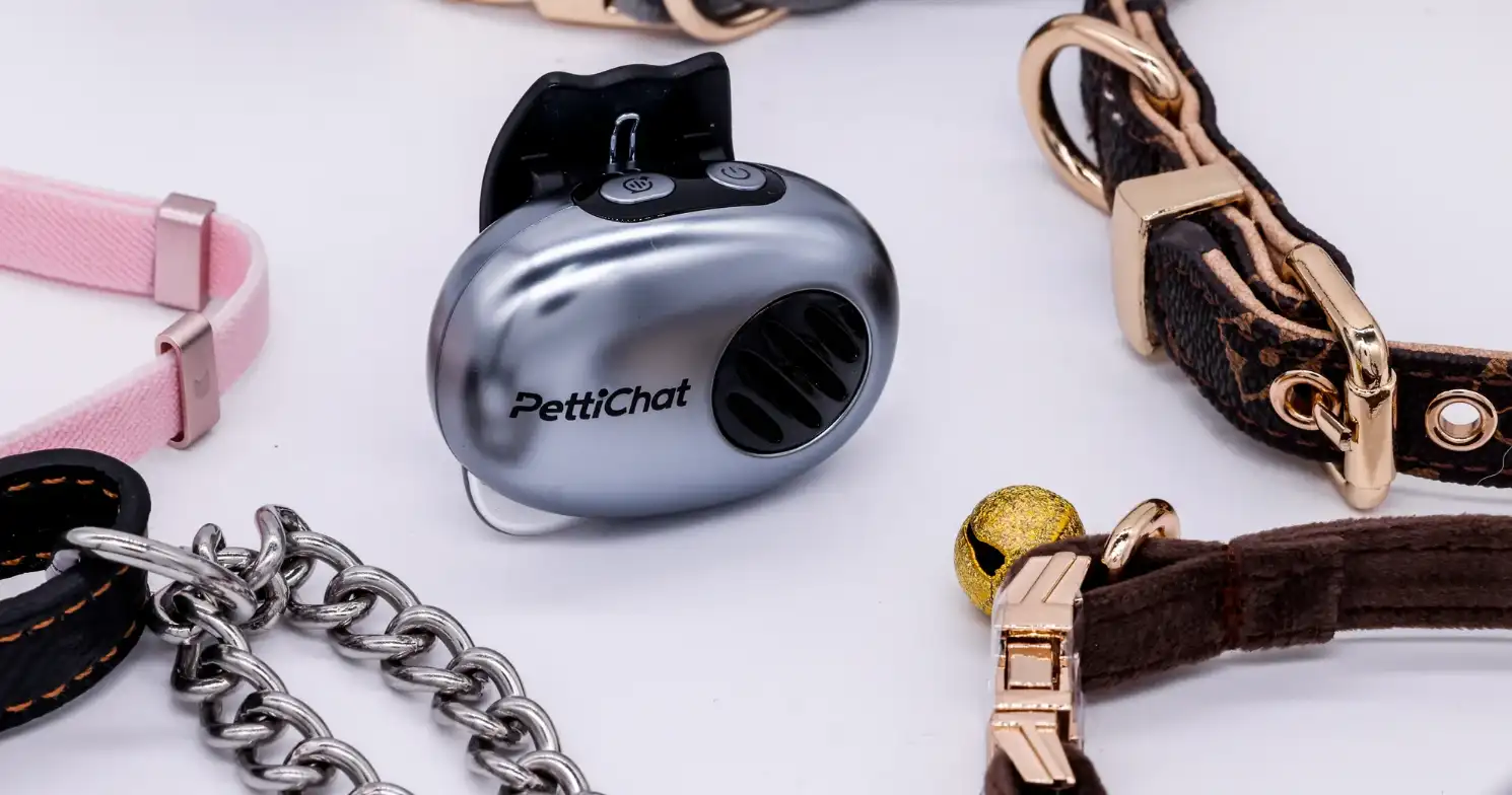 PettiChat