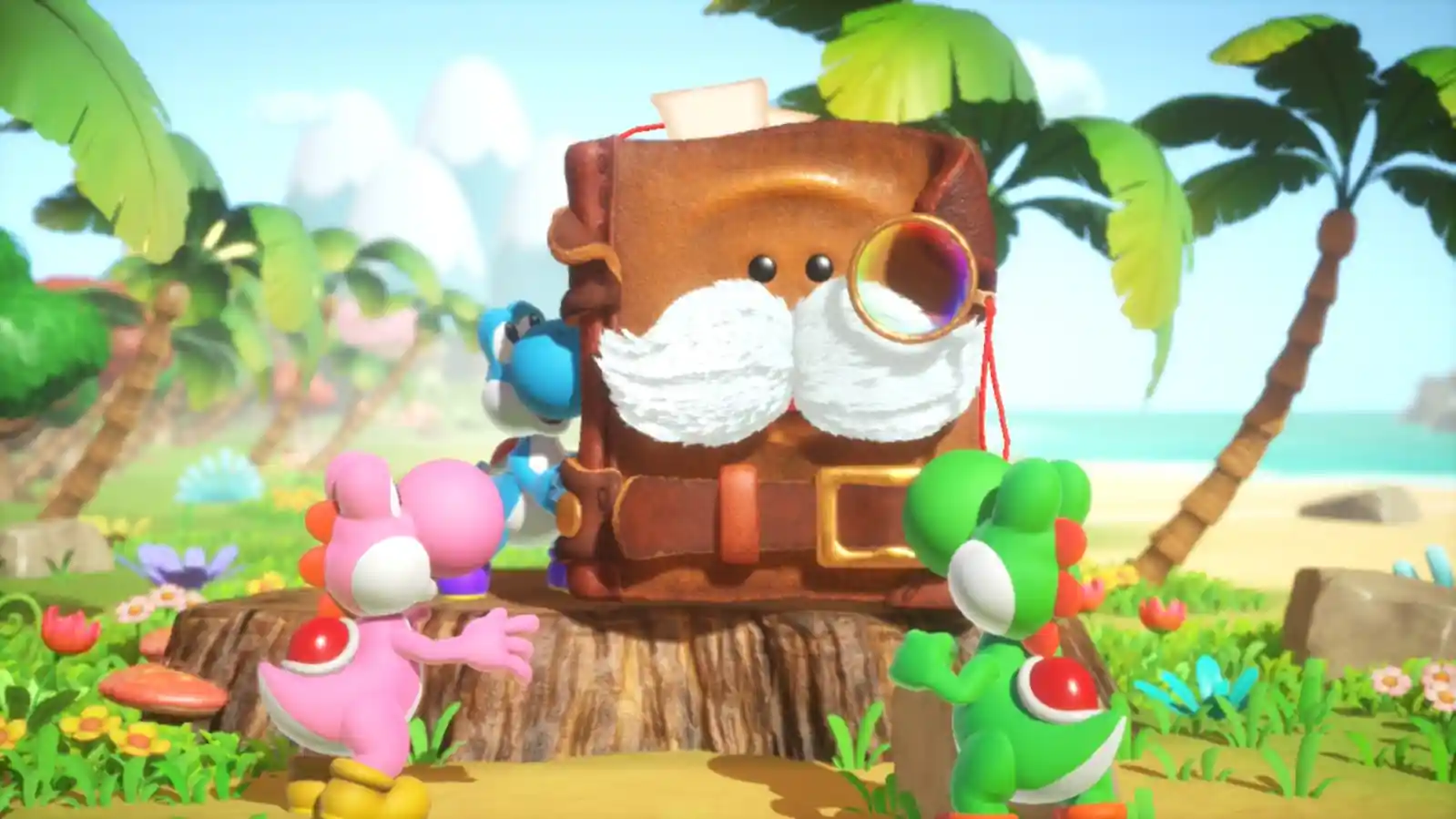 Yoshi and the Mysterious Book Nintendo Switch 2