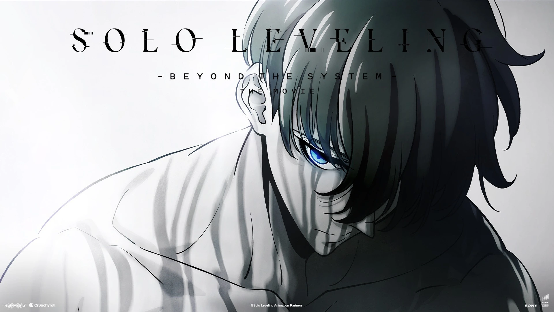 Solo Leveling: Beyond the System