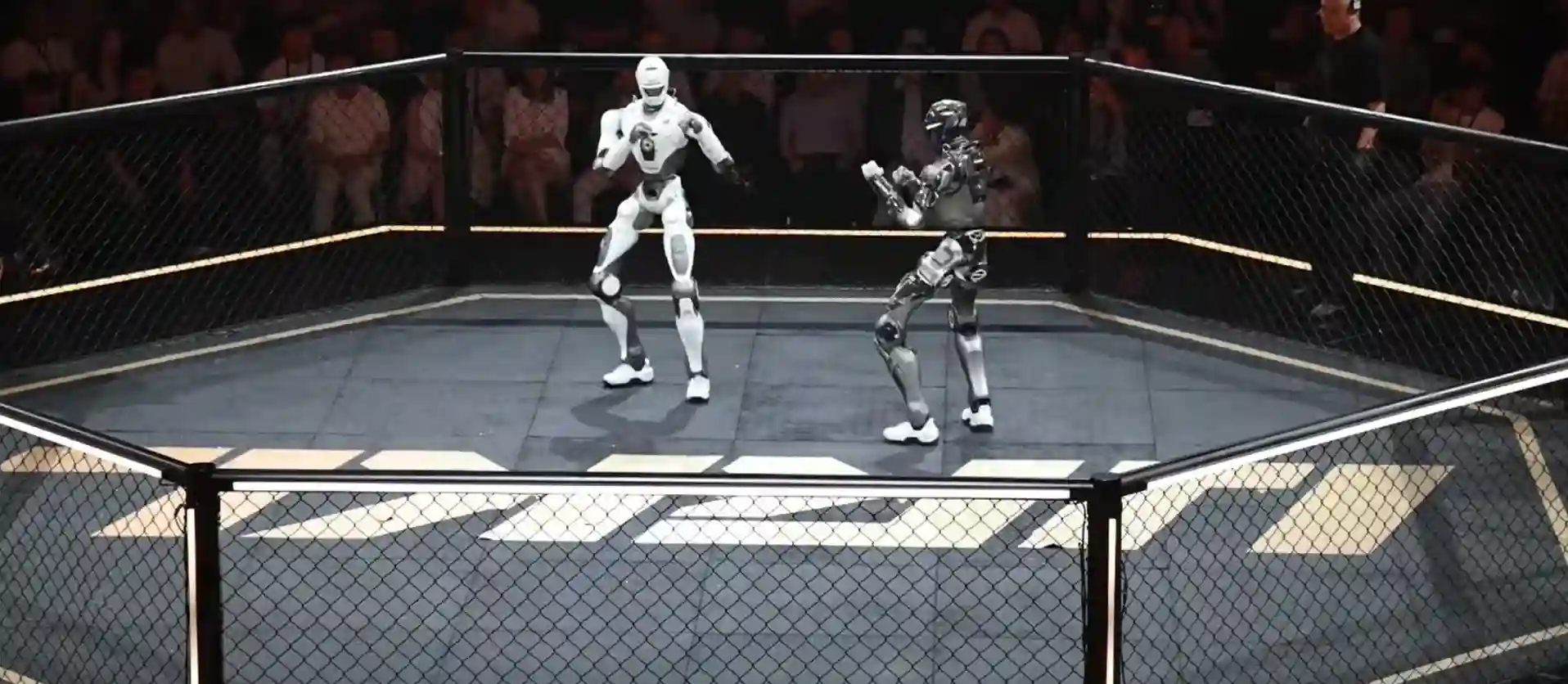 Dos robots humanoides en posición de combate dentro del ring de URKL