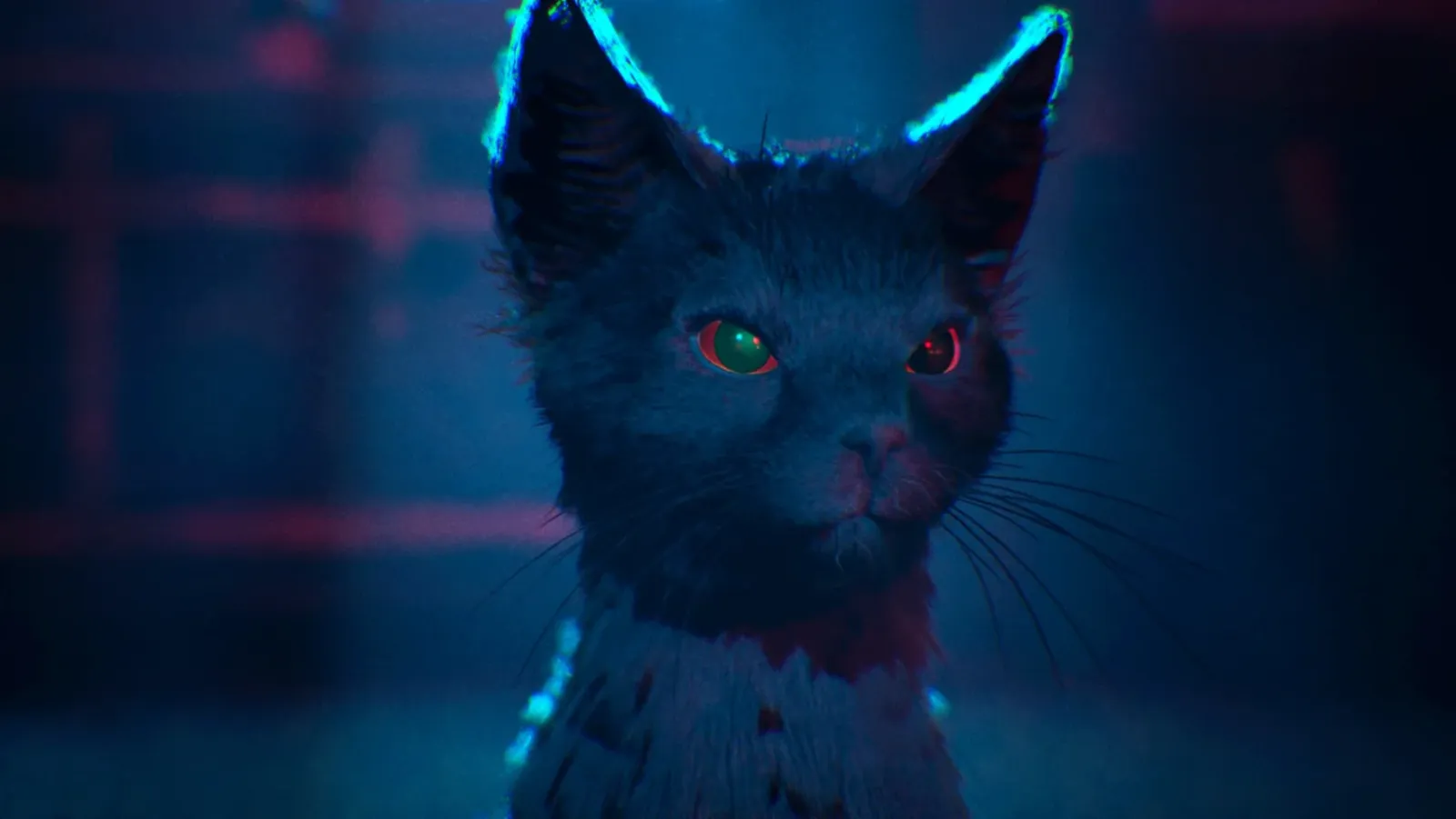 Aaron, el personaje de 1999 que en 1666: Amsterdam se manifiesta como un gato negro