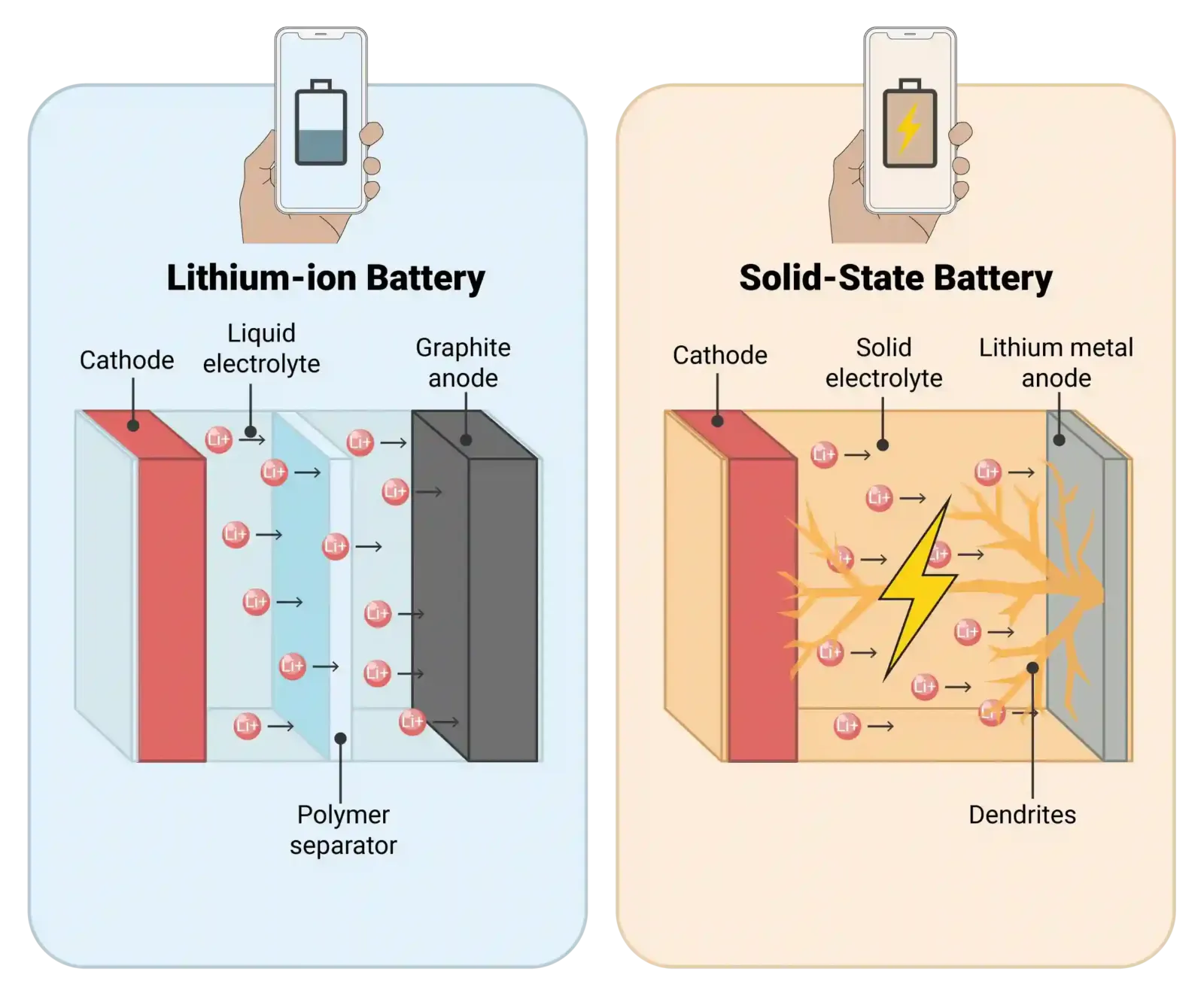 Diagrama que compara una batería de ion-litio con electrolito líquido y una batería de estado sólido con dendritas de litio