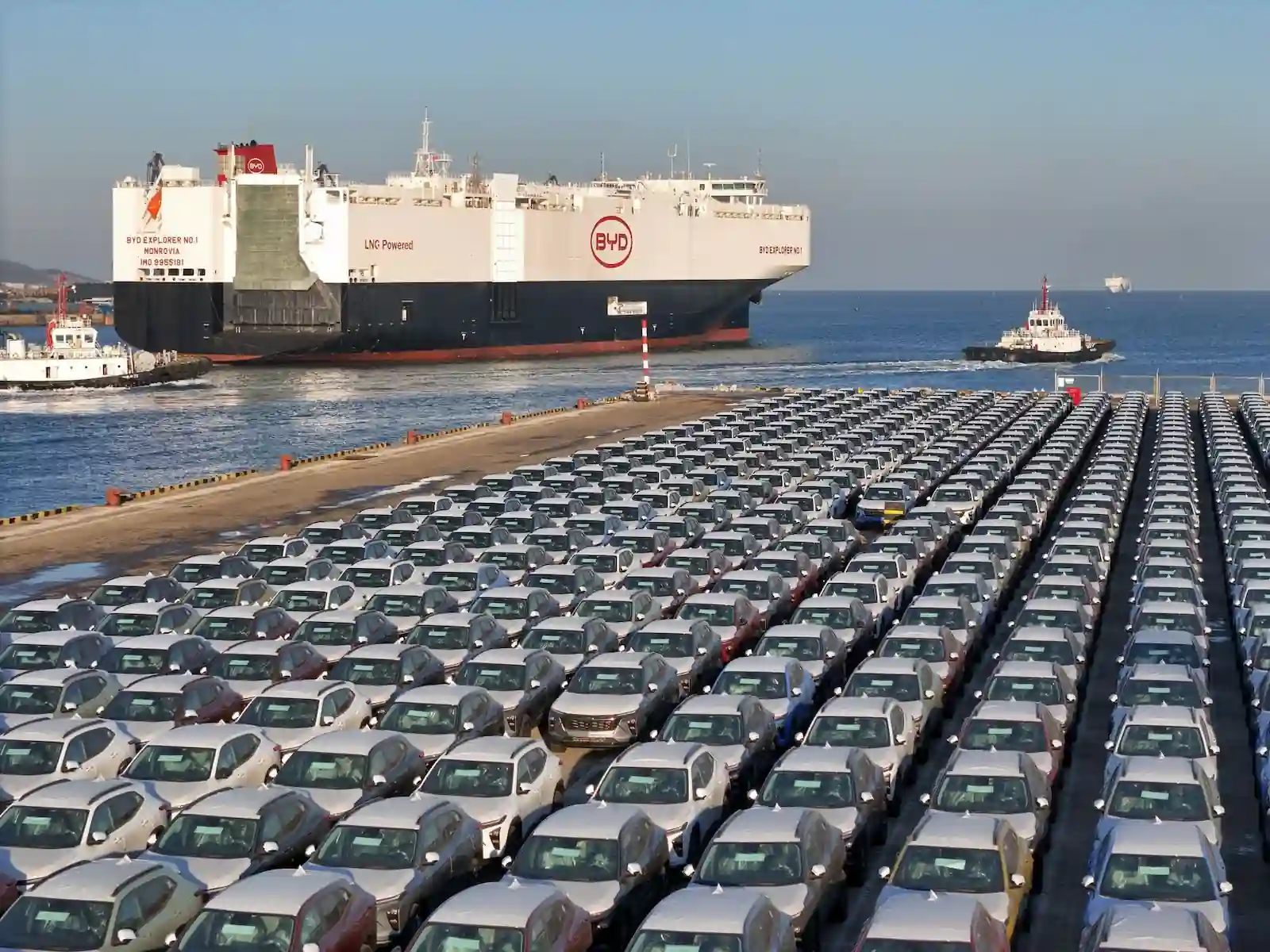 Cientos de autos de BYD esperan en el puerto para subir al carguero de la marca
