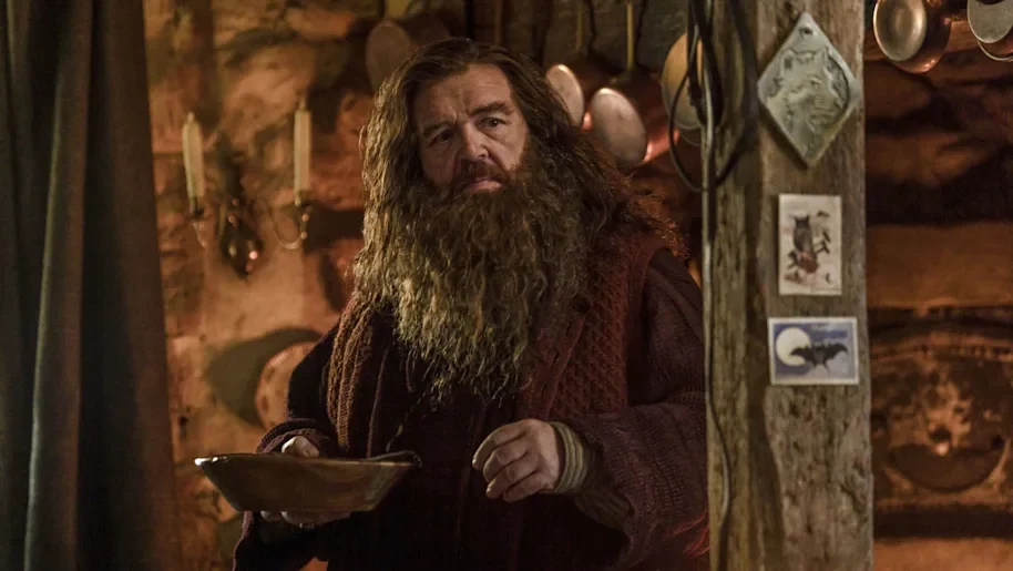 Nick Frost como Rubeus Hagrid dentro de su cabaña en la serie de Harry Potter