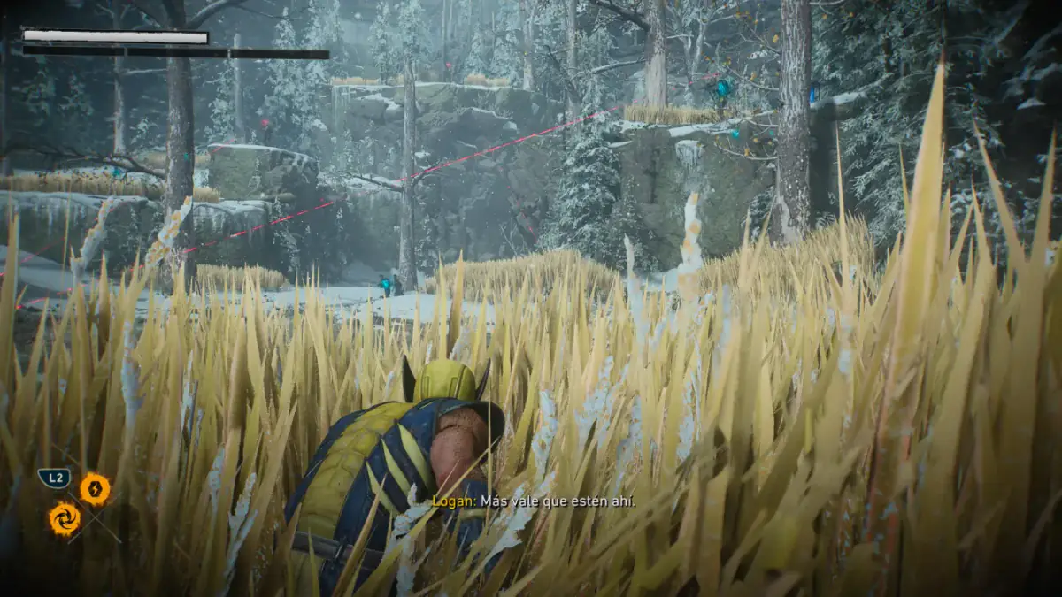 Wolverine avanza en sigilo entre pastizales altos en un bosque nevado