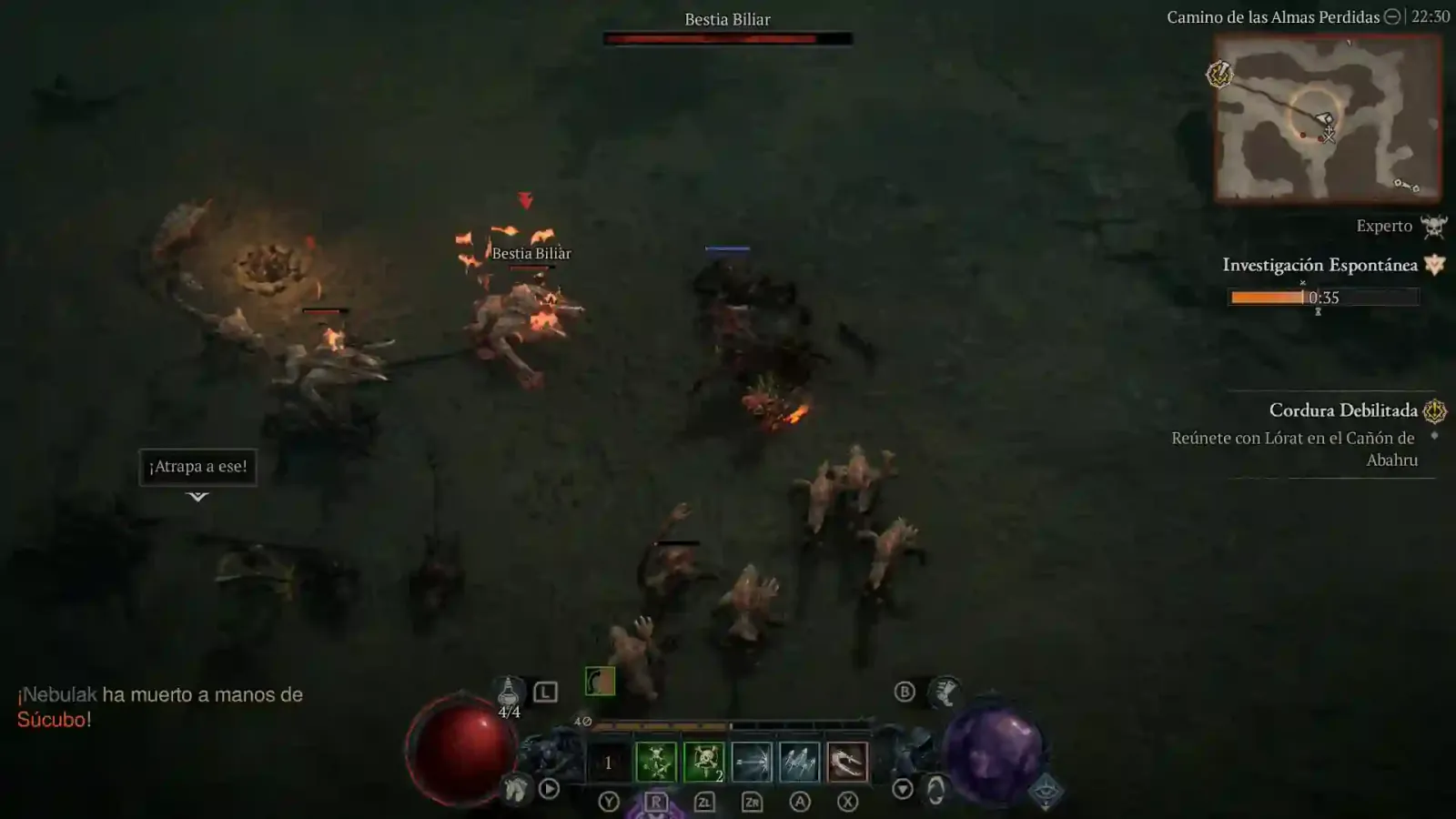 Combate contra un grupo de enemigos en Diablo IV para Nintendo Switch 2