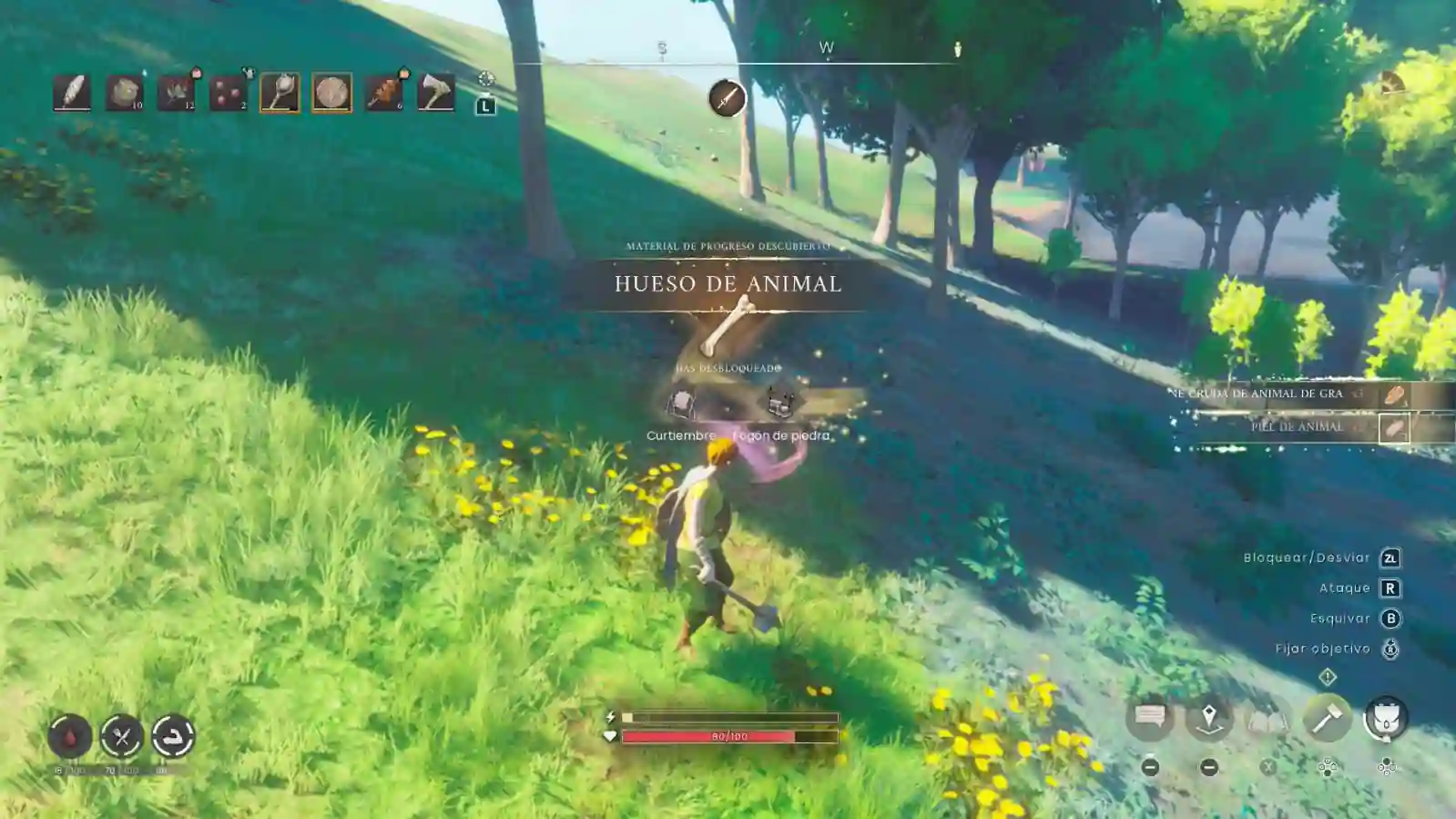 Recolección de hueso de animal en una pradera de RuneScape Dragonwilds