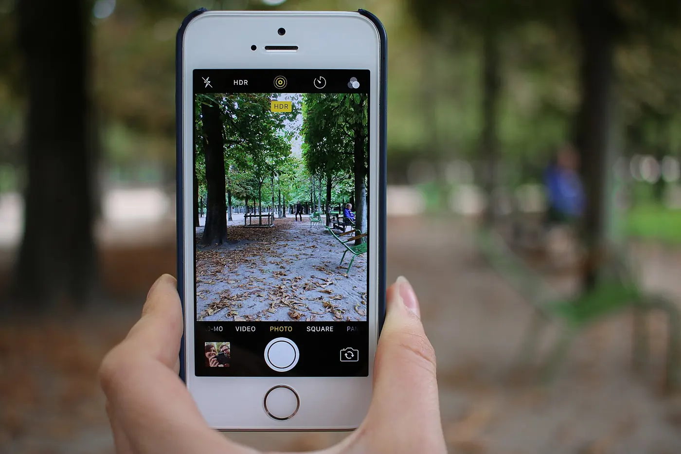 Mano sosteniendo un iPhone que saca una foto de un parque arbolado