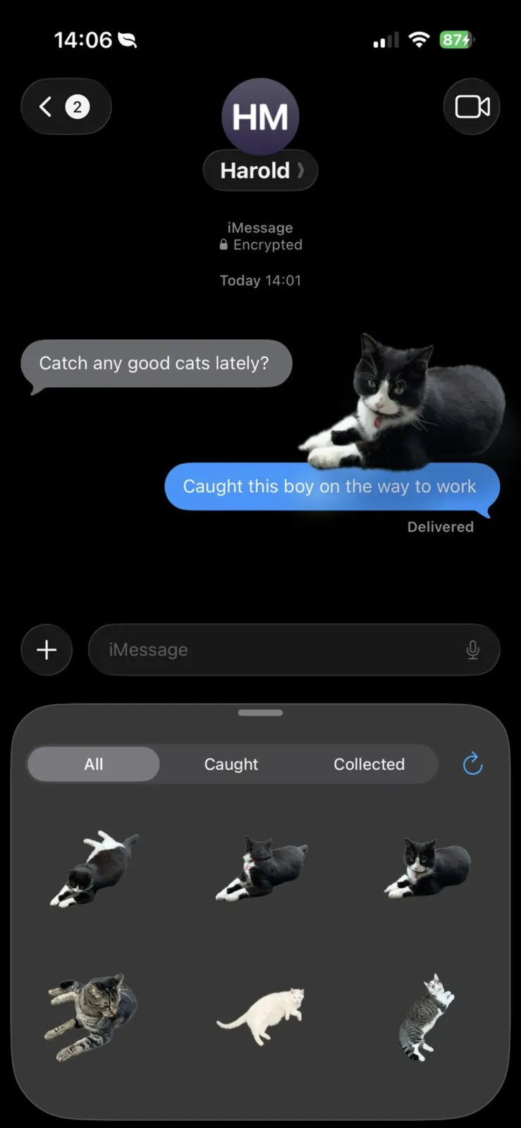 Chat de iMessage con stickers de gatos atrapados en Cat Collector