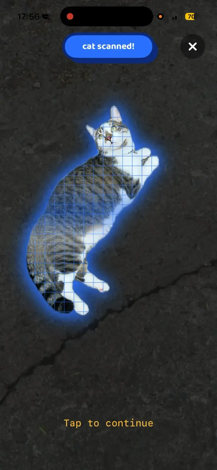 Pantalla de Cat Collector con un gato atigrado recién escaneado por la app