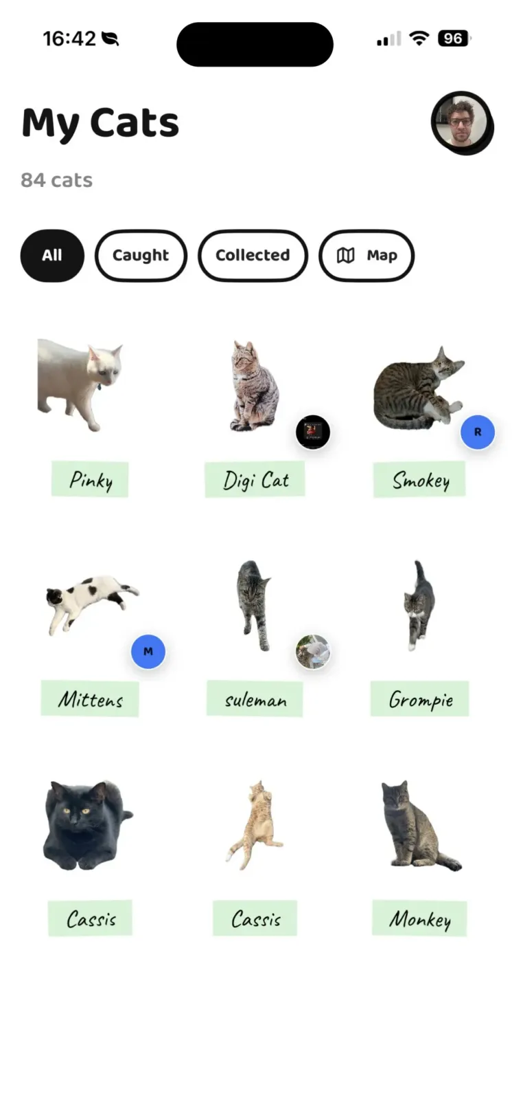 Colección de gatos atrapados en Cat Collector, cada uno con su nombre como sticker