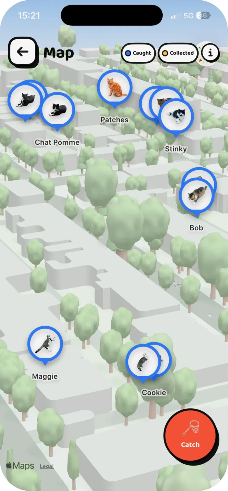 Mapa de Cat Collector con los gatos encontrados marcados en las calles del barrio