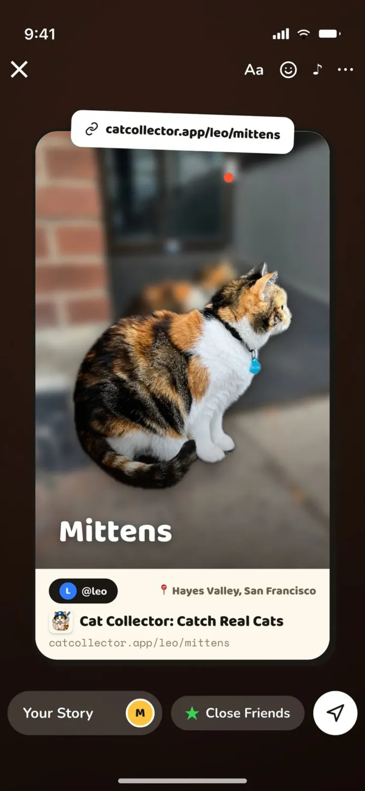 Tarjeta de un gato de Cat Collector lista para compartir en una historia de Instagram