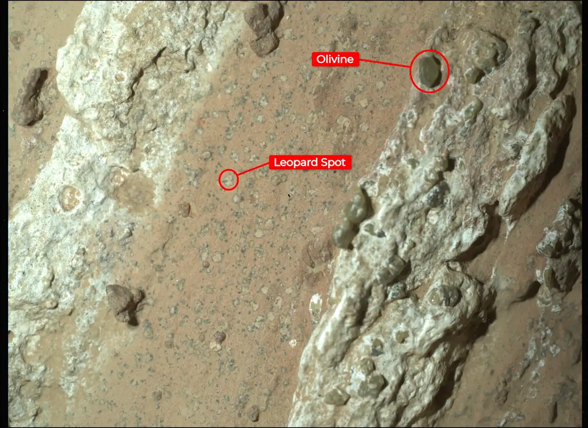 Roca con manchas de leopardo fotografiada por el rover Perseverance en Marte